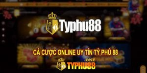 Giới thiệu nhà cái Typhu88
